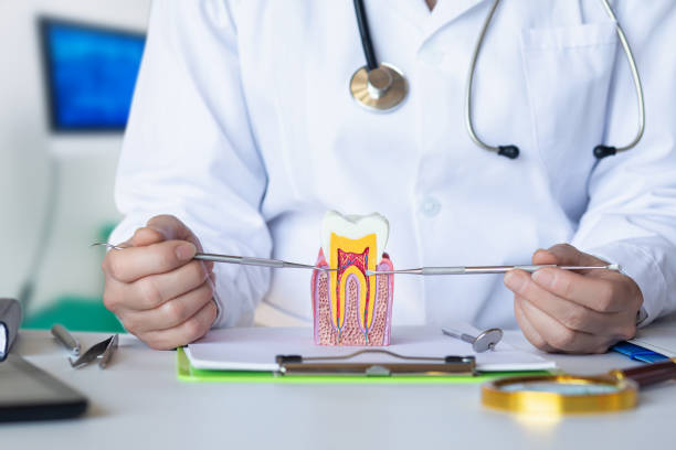 Best Emergency Treatment for Oral Infections in Soledad, CA